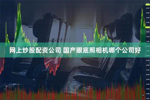 网上炒股配资公司 国产眼底照相机哪个公司好